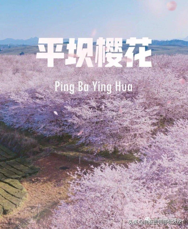 展会上买家具,却迟迟未收到货?消费者急了:不发货倒是退钱啊